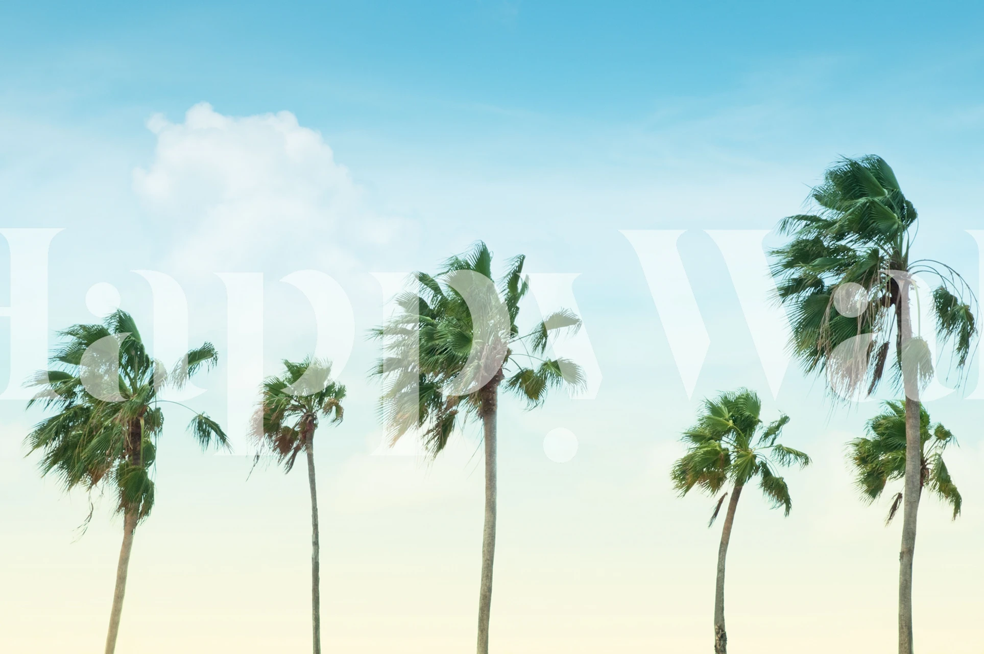 Carta da parati Palm Trees Oasis 1 in una stanza