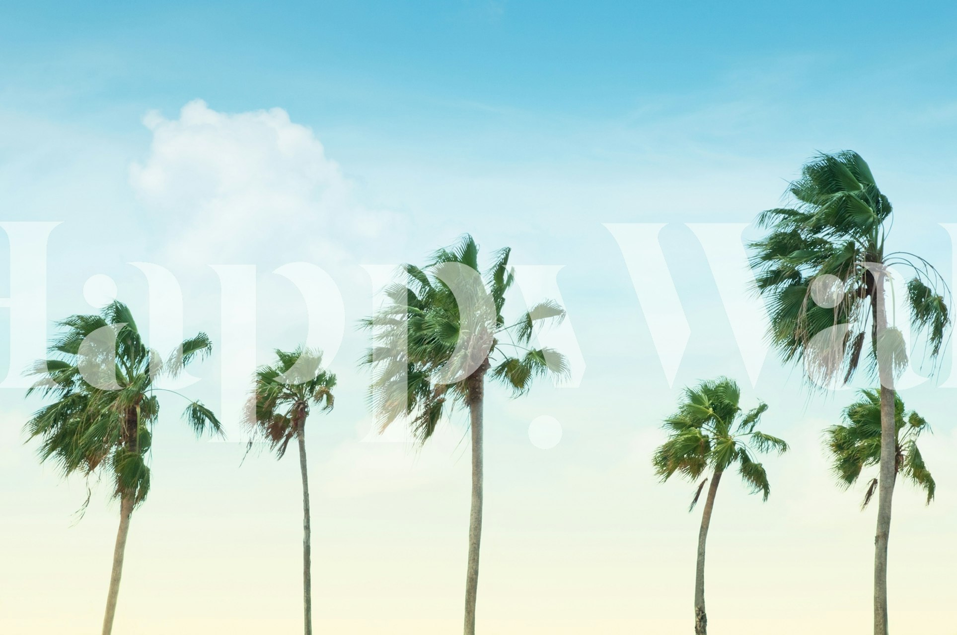 Palm Trees Oasis 1 tapet i et rom