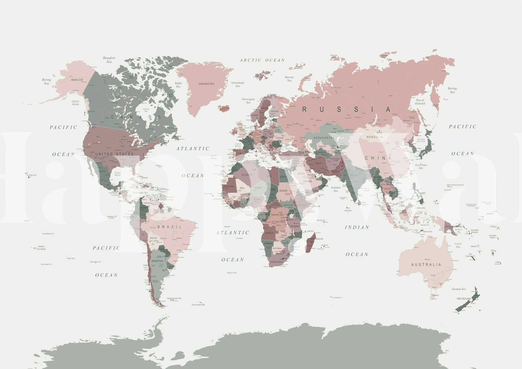 Detailed World Map Wall Mural in Unique Pink and Green Palette