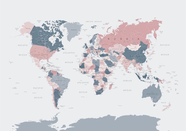 World Map in Pink and Blue