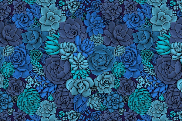 Succulent garden in blue