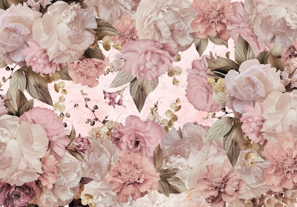 Baroque Blush Roses Vintage Garden 2