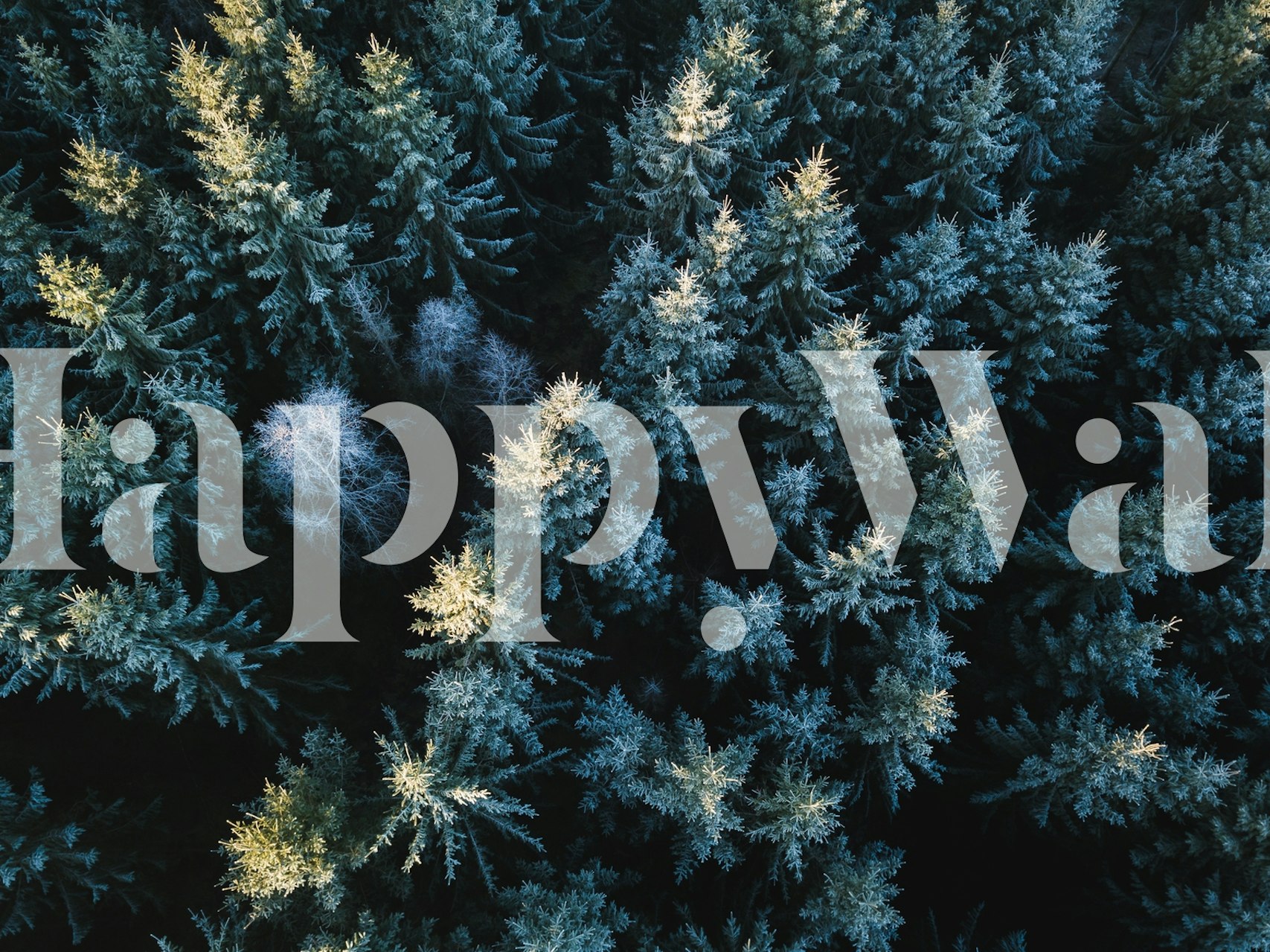 Wall mural of forest treetops with dense green foliage