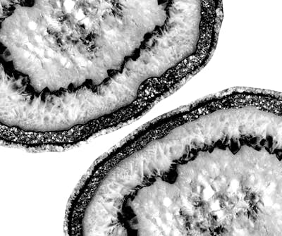 Τοιχογραφία