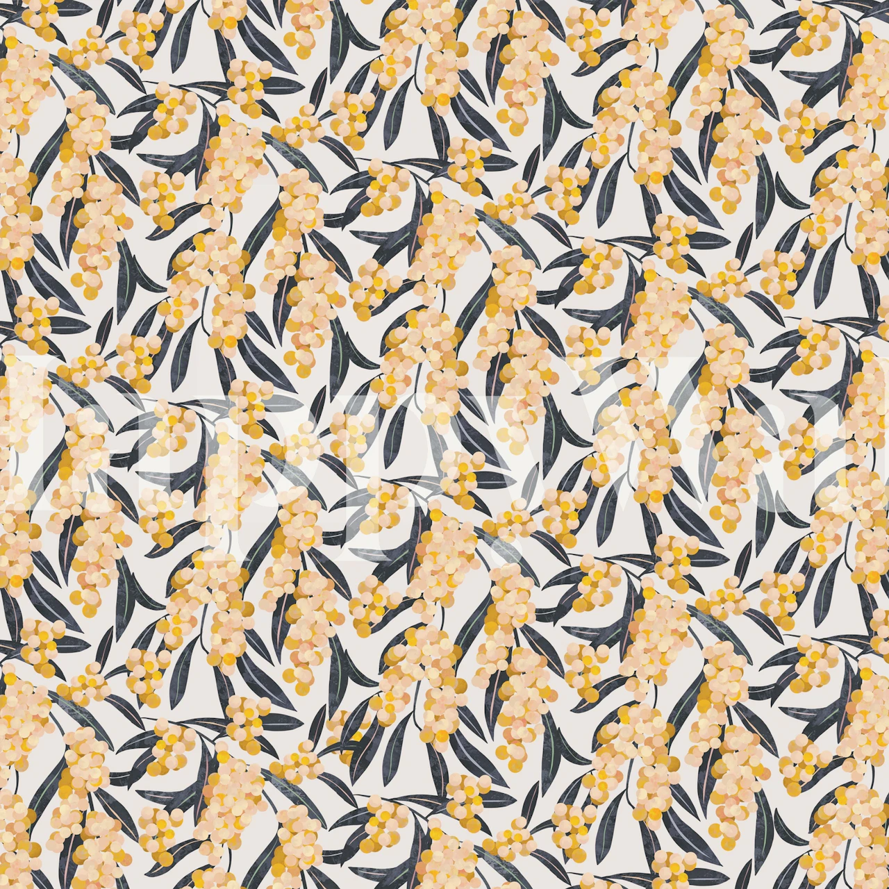 Acacia plant tapet i en rominnstilling