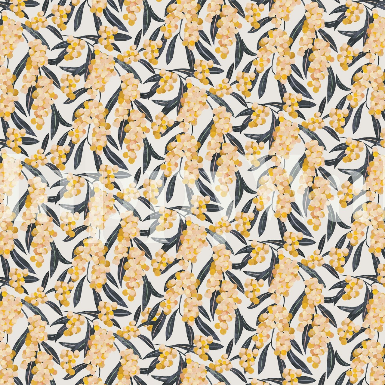 Acacia plant ταπετσαρία σε ρύθμιση δωματίου