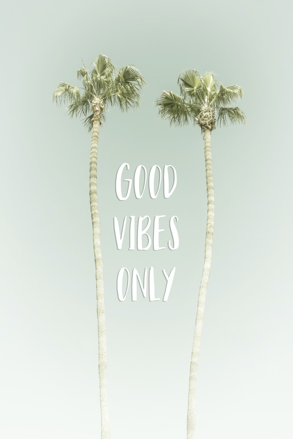 Good vibes palm trees