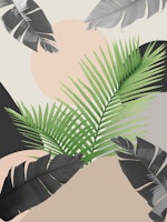 Intertwined Palm Leaves 1a tapet