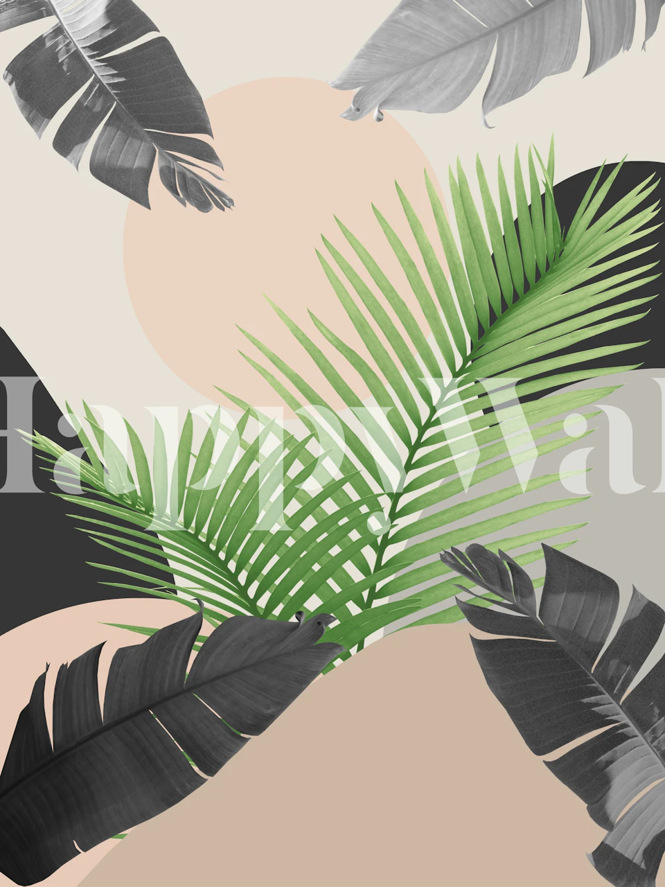 Sammanflätade Palm Leaves tapet i nyanser av grönt och svart