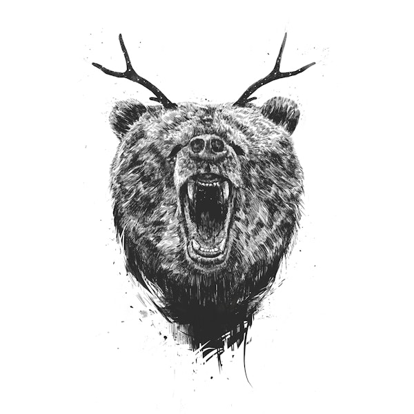 Angry bear with antlers