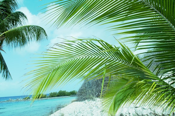 Beach Tranquility Dream 2