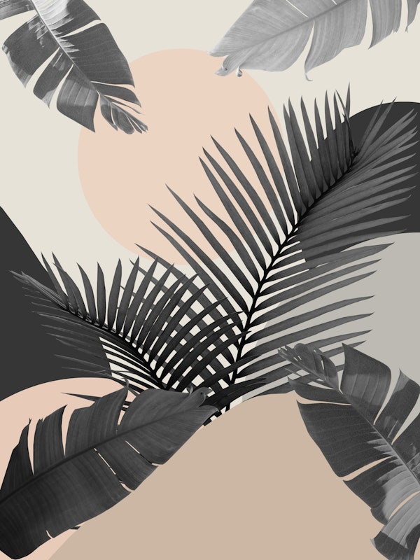 Intertwined Palm Leaves 2a