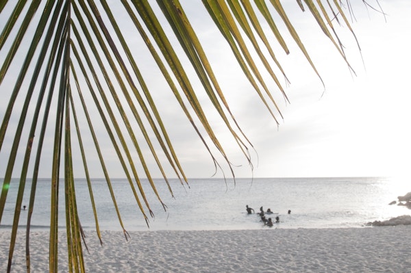 Sunset Ocean Palm Dream 1