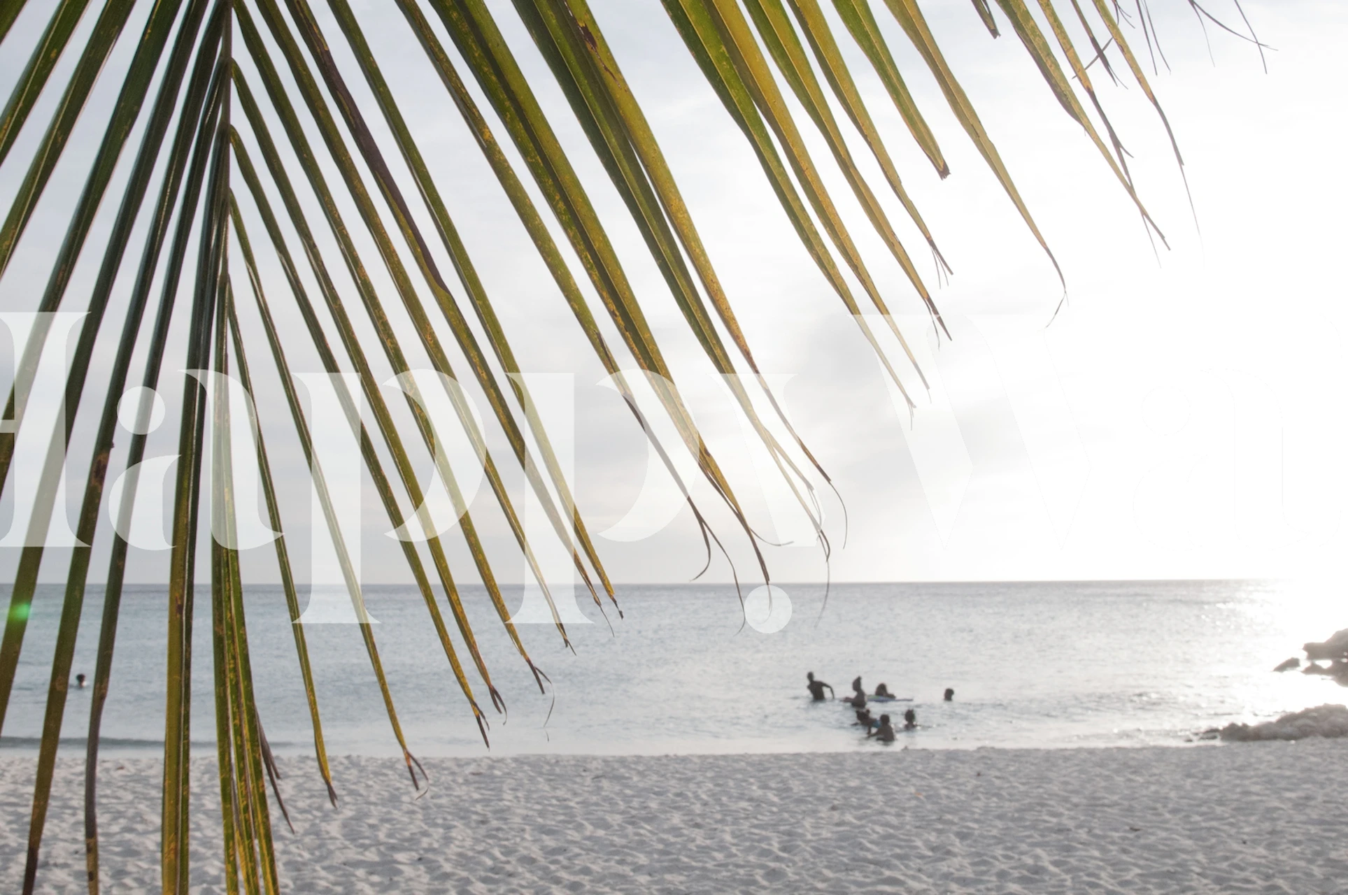 Sunset Ocean Palm Dream 1 seinämaalaus, jossa palmunlehtien siluetti ja merihorisontti