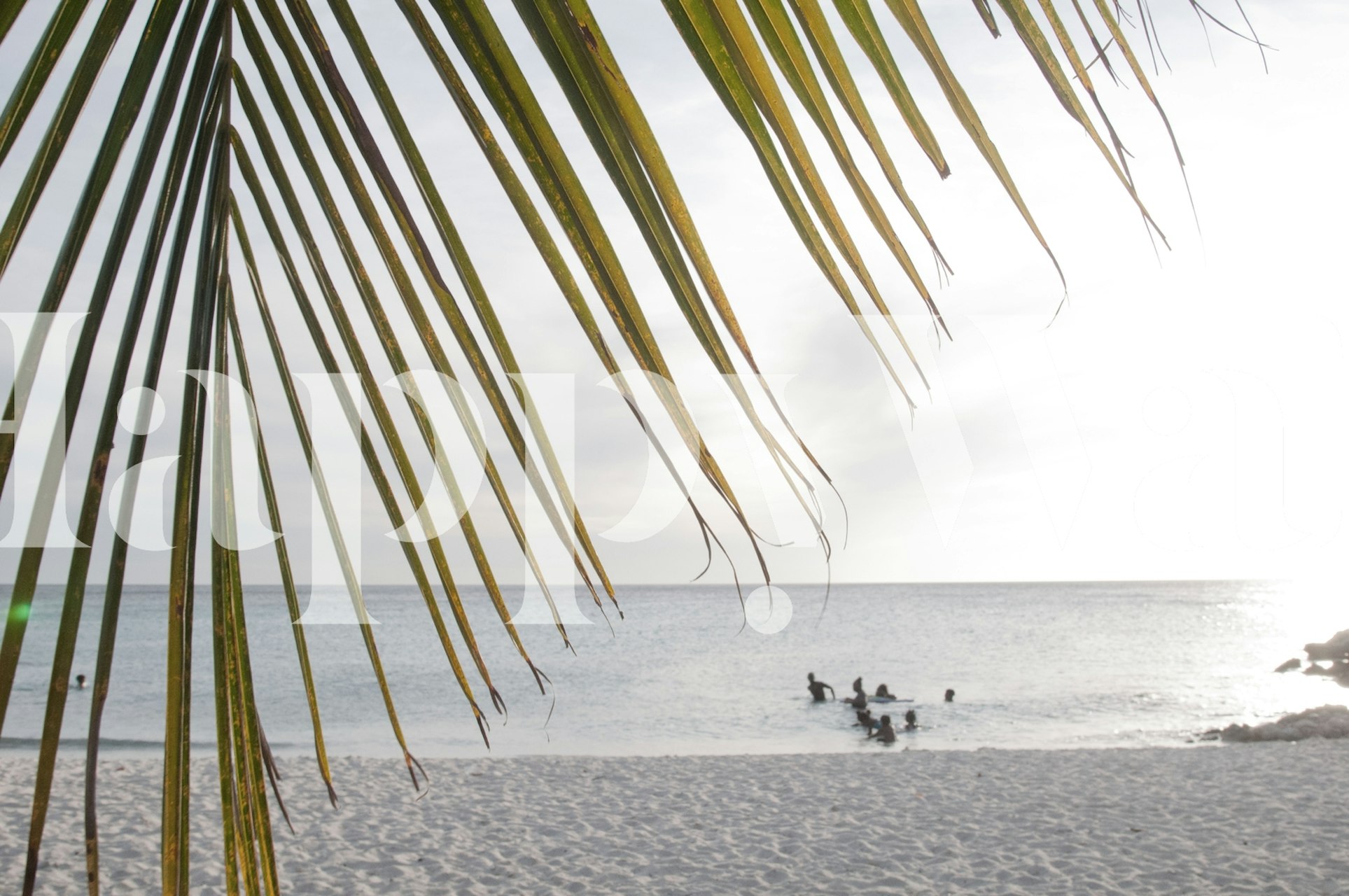 Sunset Ocean Palm Dream 1 τοιχογραφία τοίχου με σιλουέτα φύλλων φοίνικα και ωκεάνιο ορίζοντα