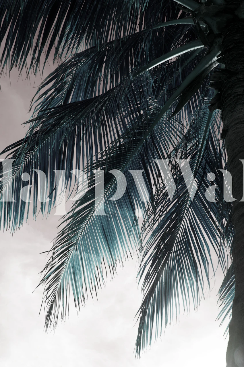 Papier peint Sunset Palm 1 représentant la silhouette d'un palmier sur un ciel crépusculaire