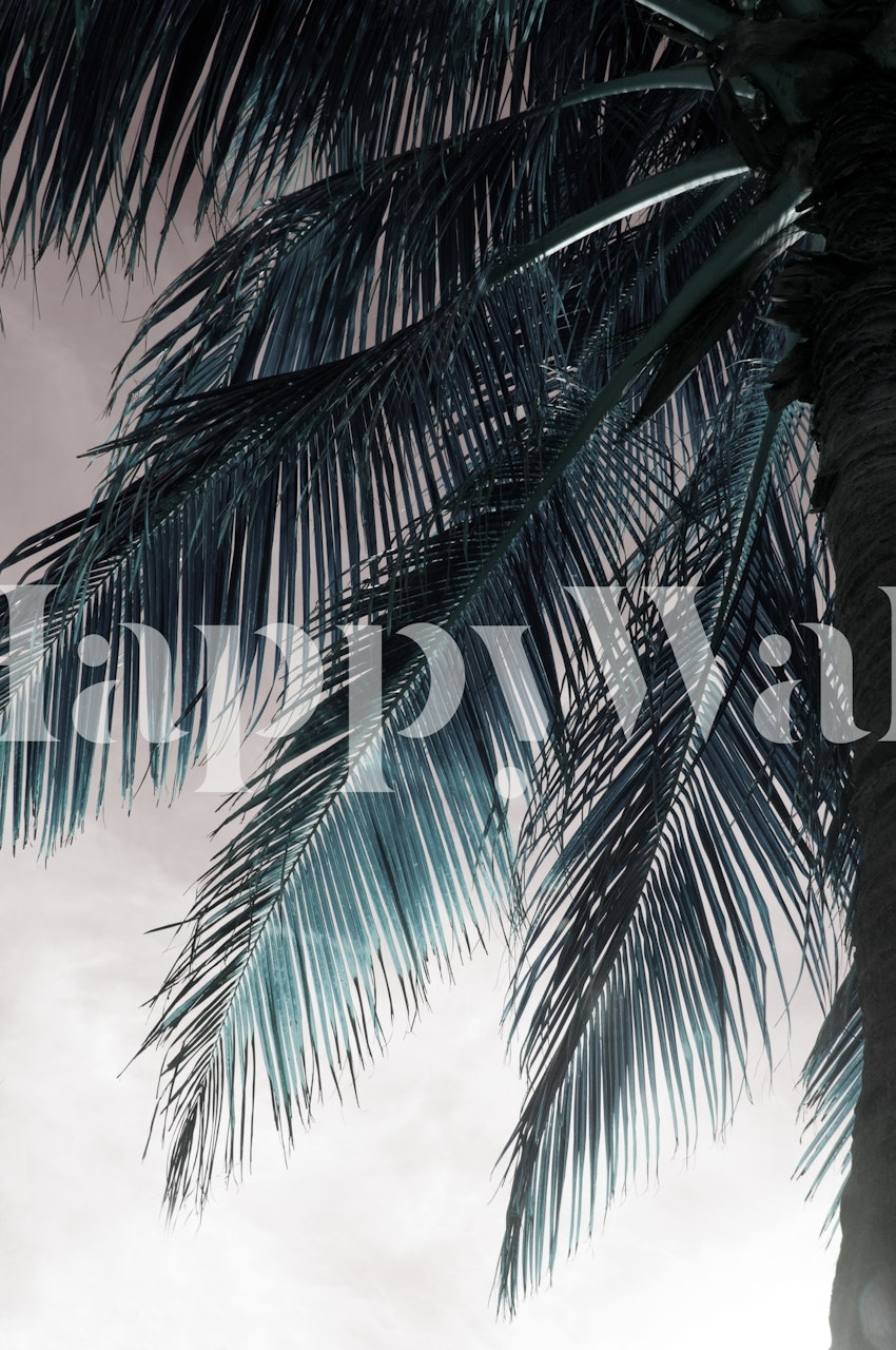 Black and white tropical palm leaves wallpaper