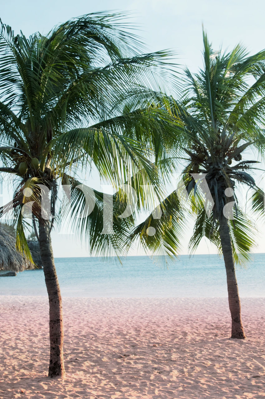 Behang met palmen op een strand