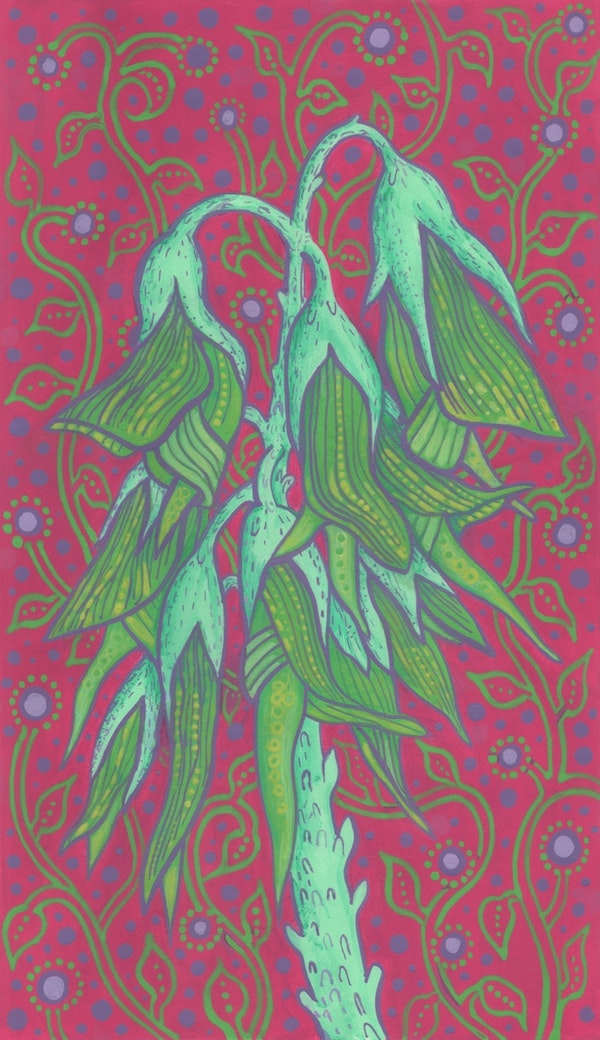 Australian Bird Flower