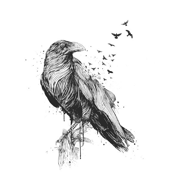 Born to be free (bw)