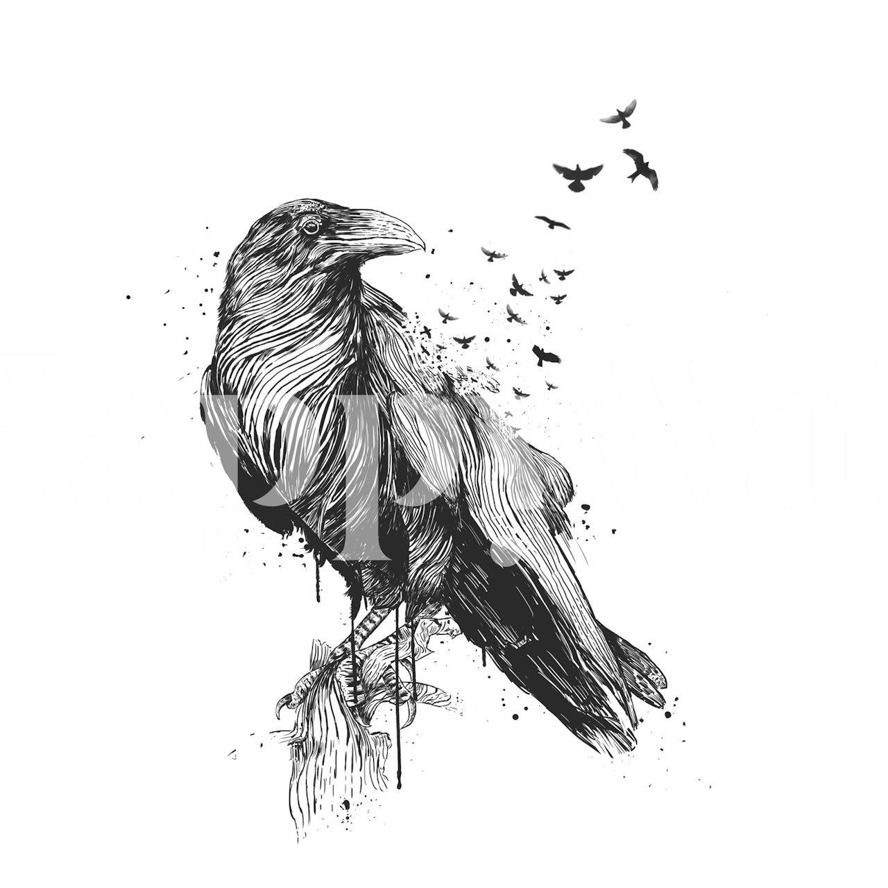 Mustavalkoinen seinämaalaus korpista ja linnut lentävät pois