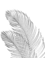 Palm Leaves Finesse Line Art 6 tapete