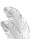 Palm Leaves Finesse Line Art 6