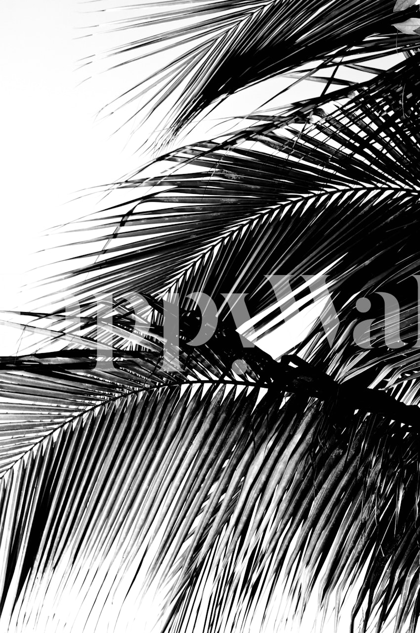 Caribbean palm leaves wallpaper in a room