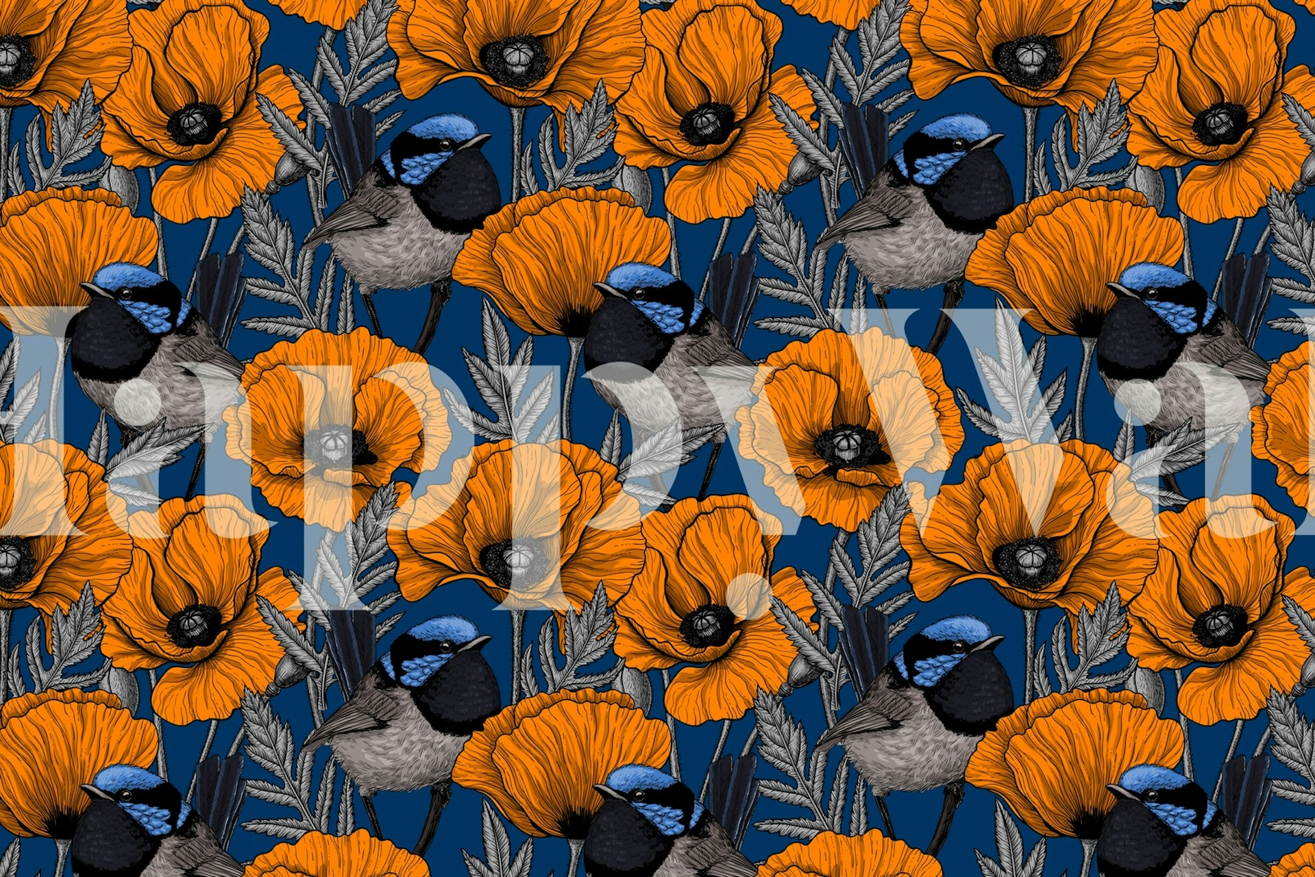 Fairy wrens and orange poppy flowers on dark blue wallpaper