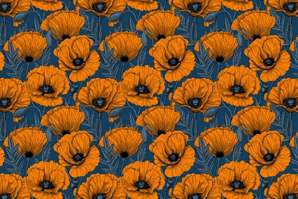 Orange poppies