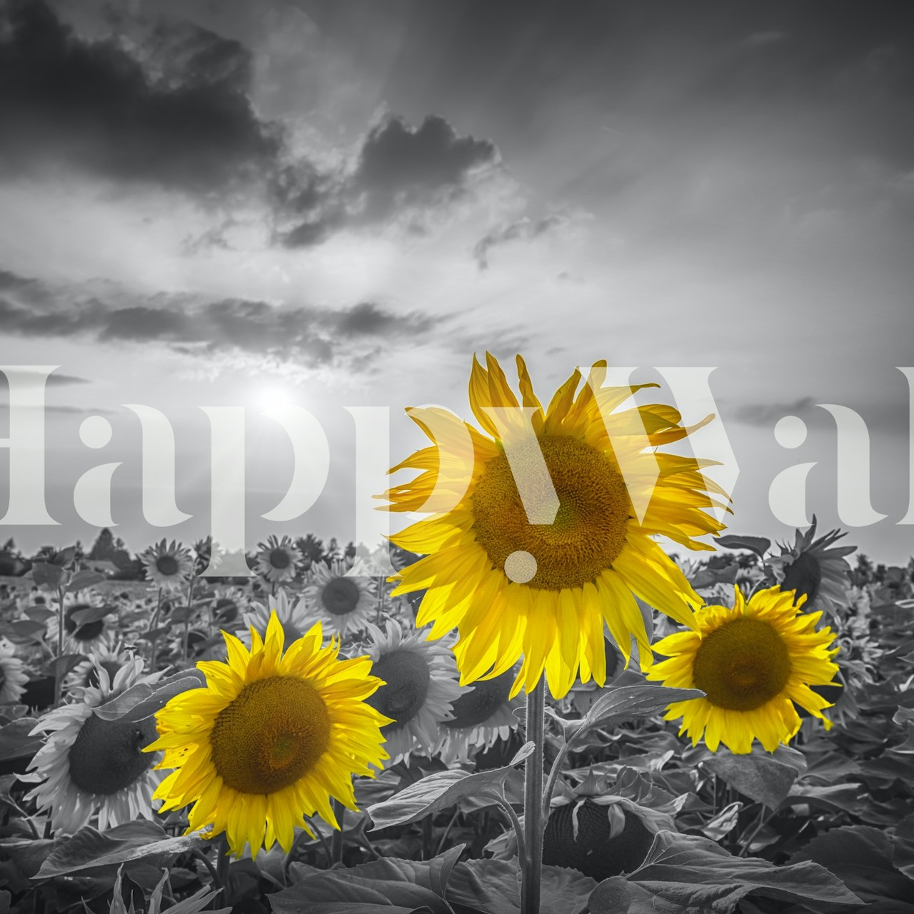 Yellow pop sunflowers tapetdesign i ett rum