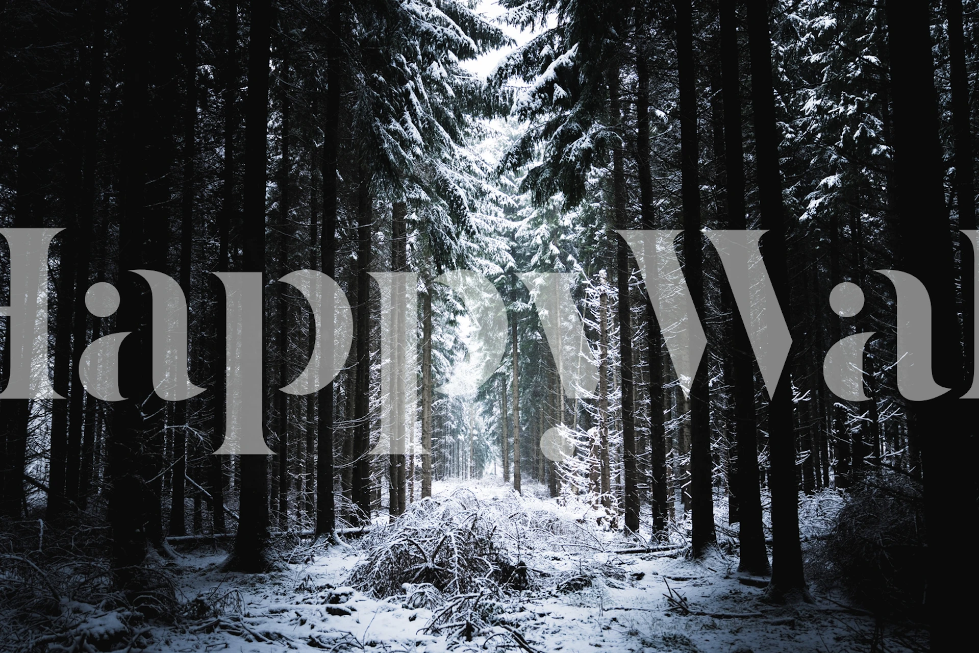 Snowy winter alley wallpaper in a room