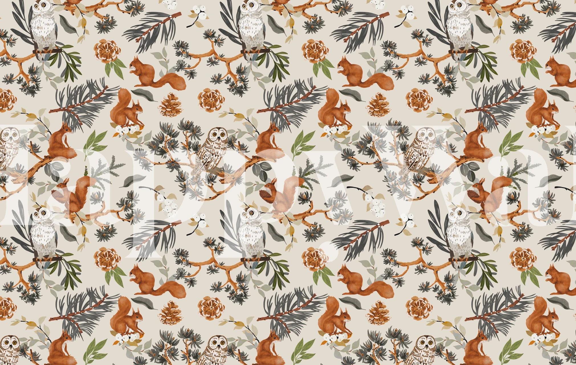 Squirrels and owls forest wallpaper in a room