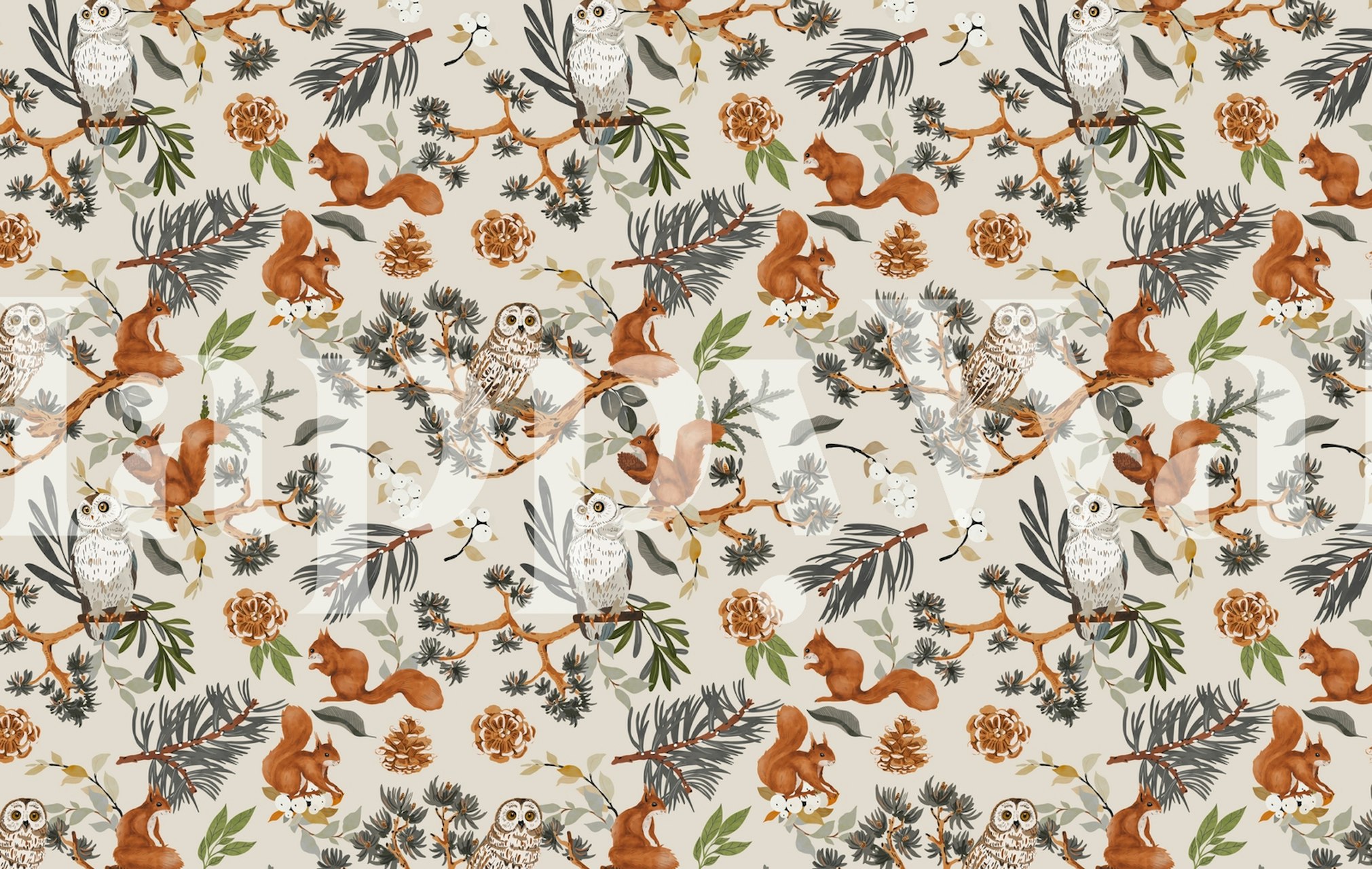 Squirrels and owls forest papel de parede em um quarto
