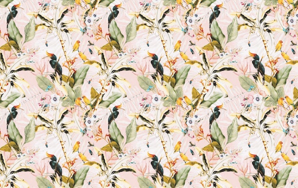 Birds tropical jungle