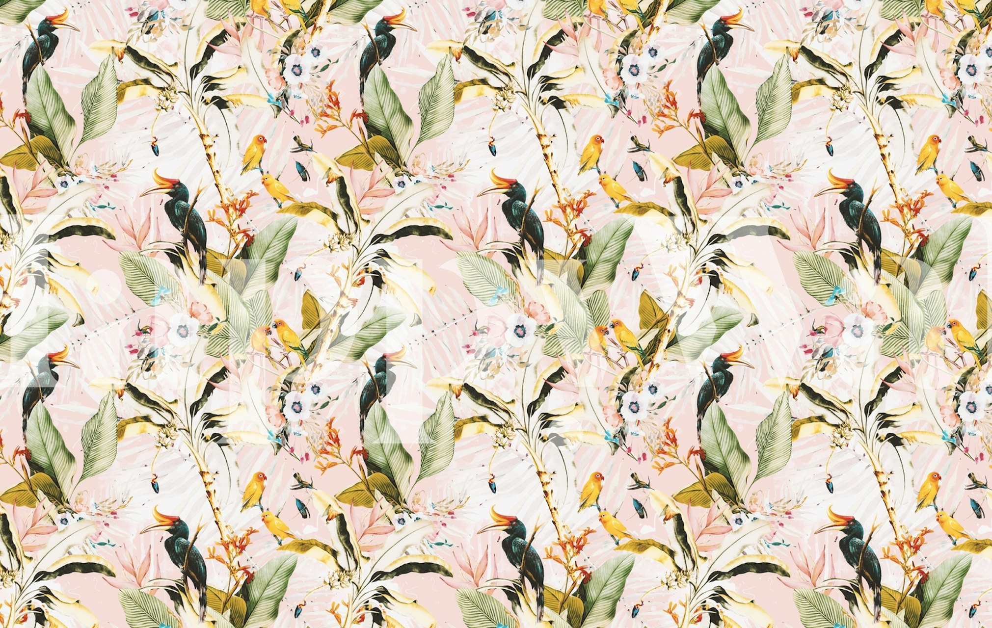 Fototapeta s exotickým ptactvem a listím tropické džungle