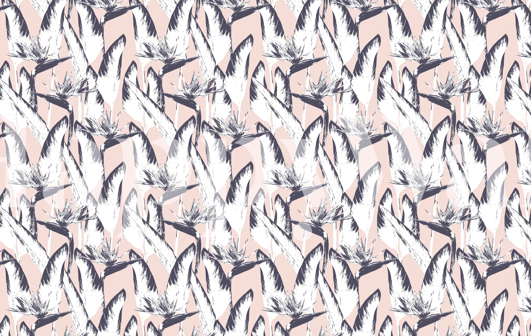 Tropical exotic birds pattern in white and navy on soft pink wallpaper.
