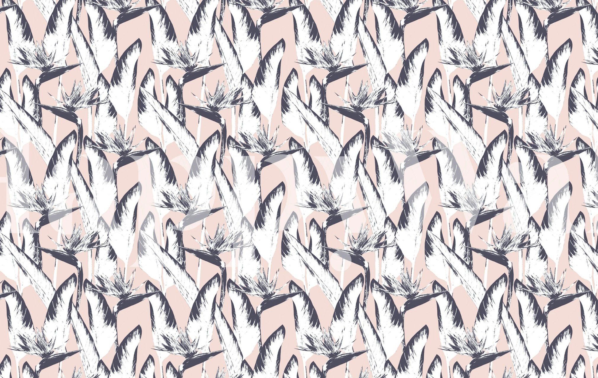 Tropical exotic birds pattern in white and navy on soft pink wallpaper.