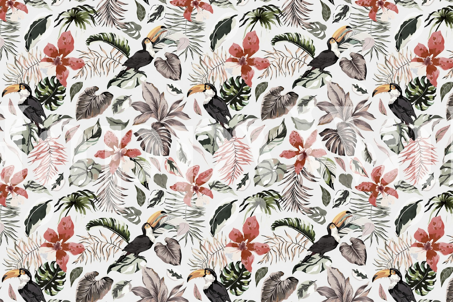 Toucans w kwitnącej dżungli tapeta w pokoju