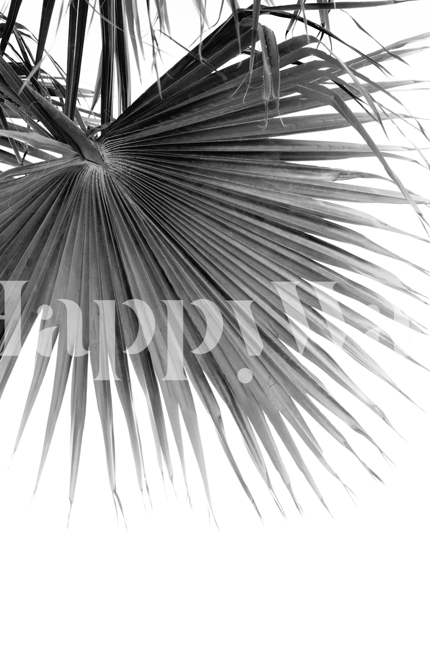 Tapeta Fan Palm Black White Dream v pokoji