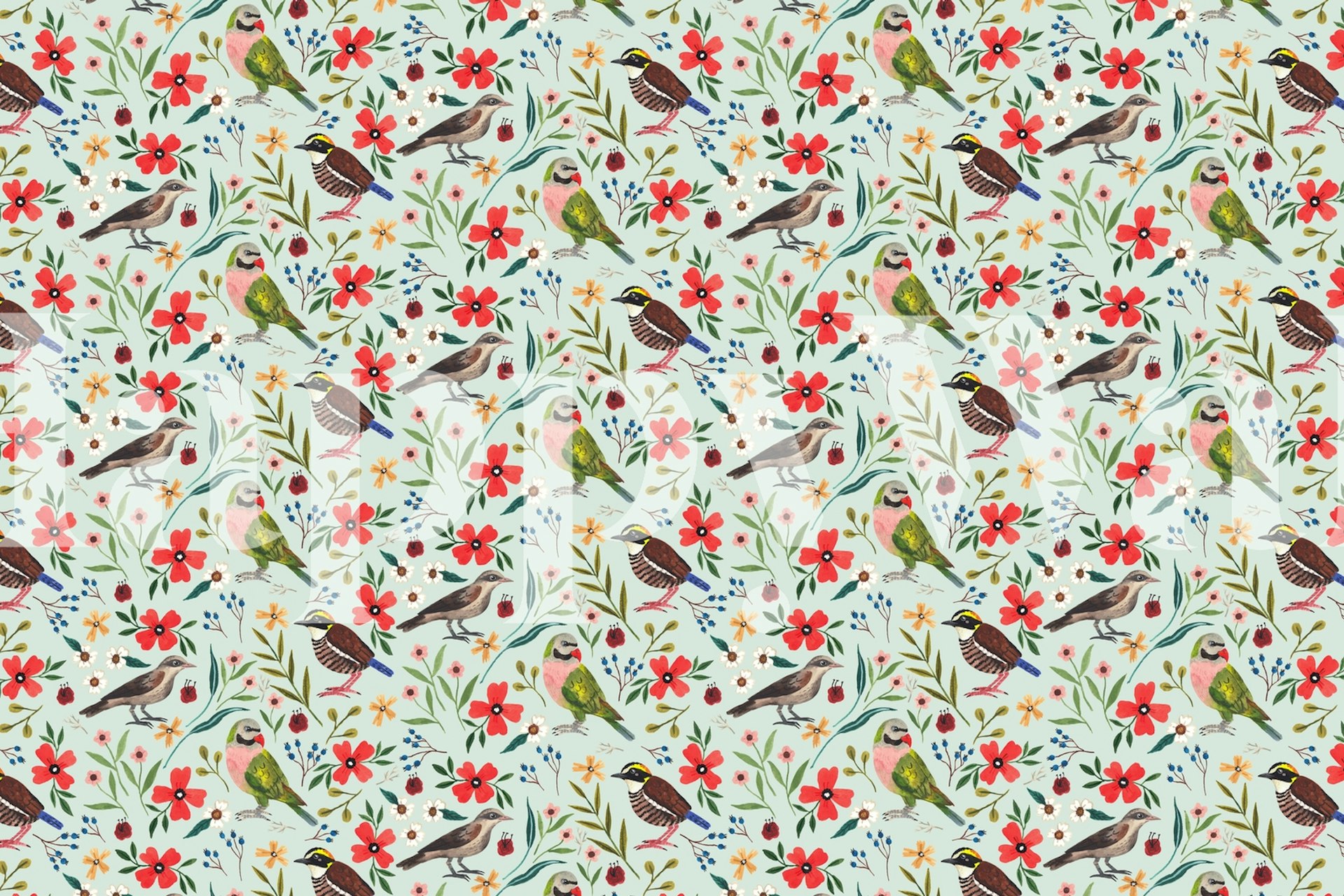 Colorful birds and floral pattern wall mural