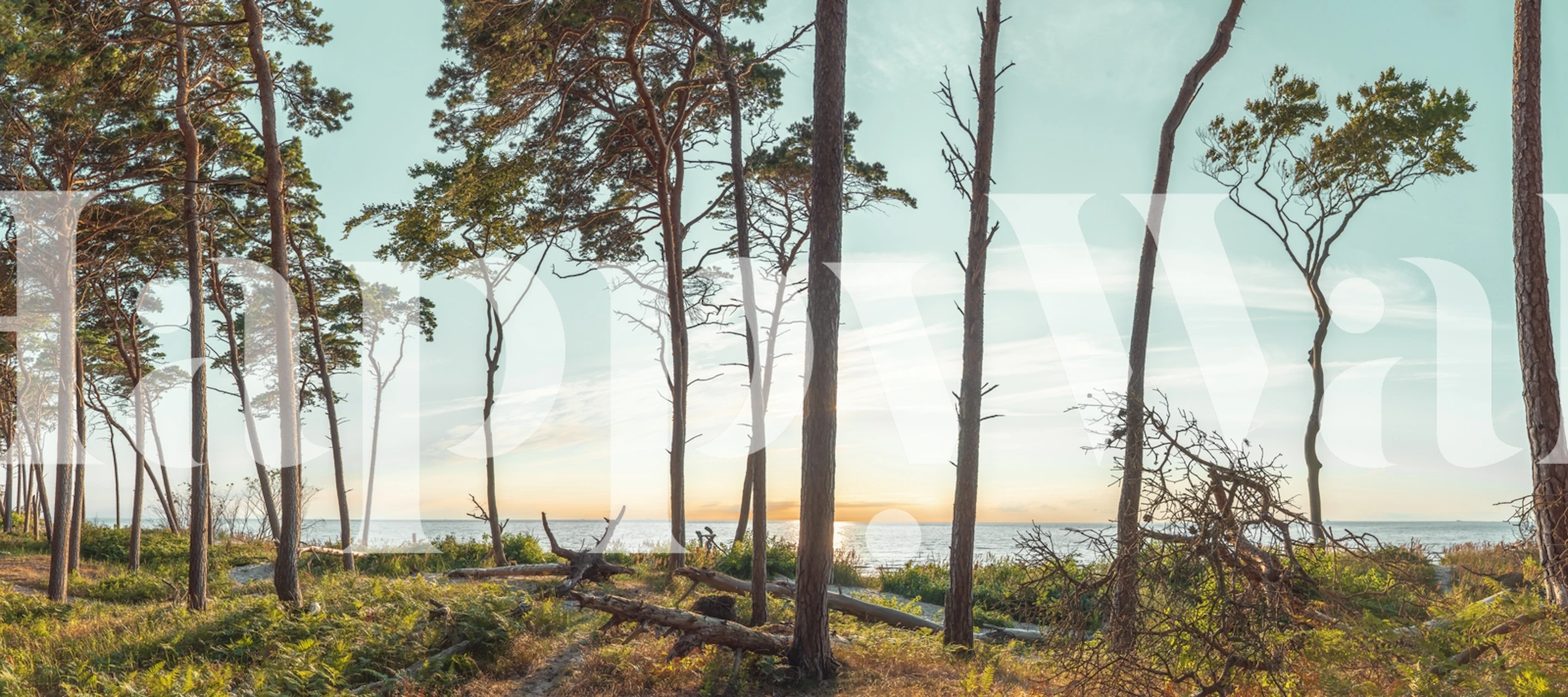 Tapeta Westbeach Sunlight w pokoju