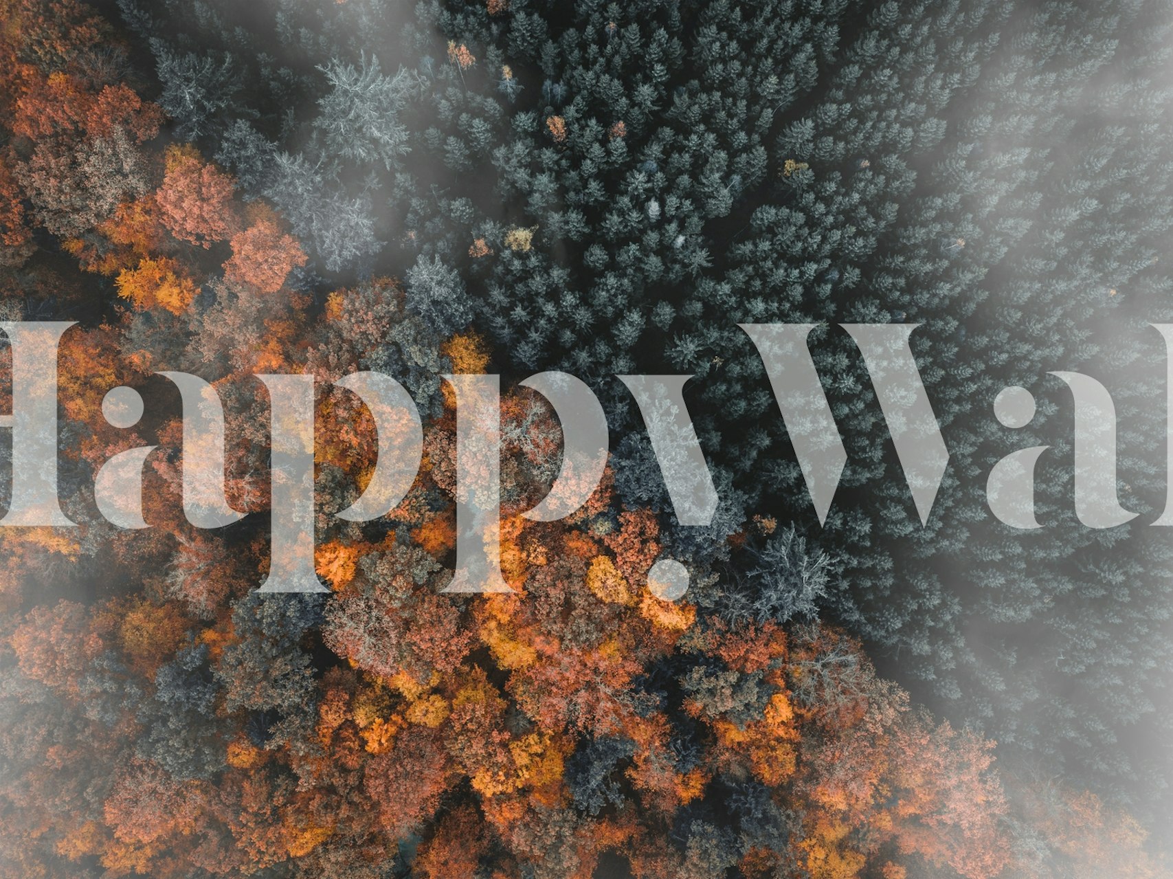 Pine of the Season III tapeta w pokoju