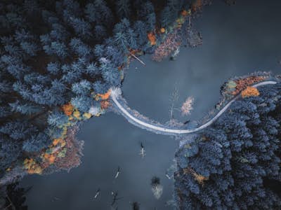 Τοιχογραφία