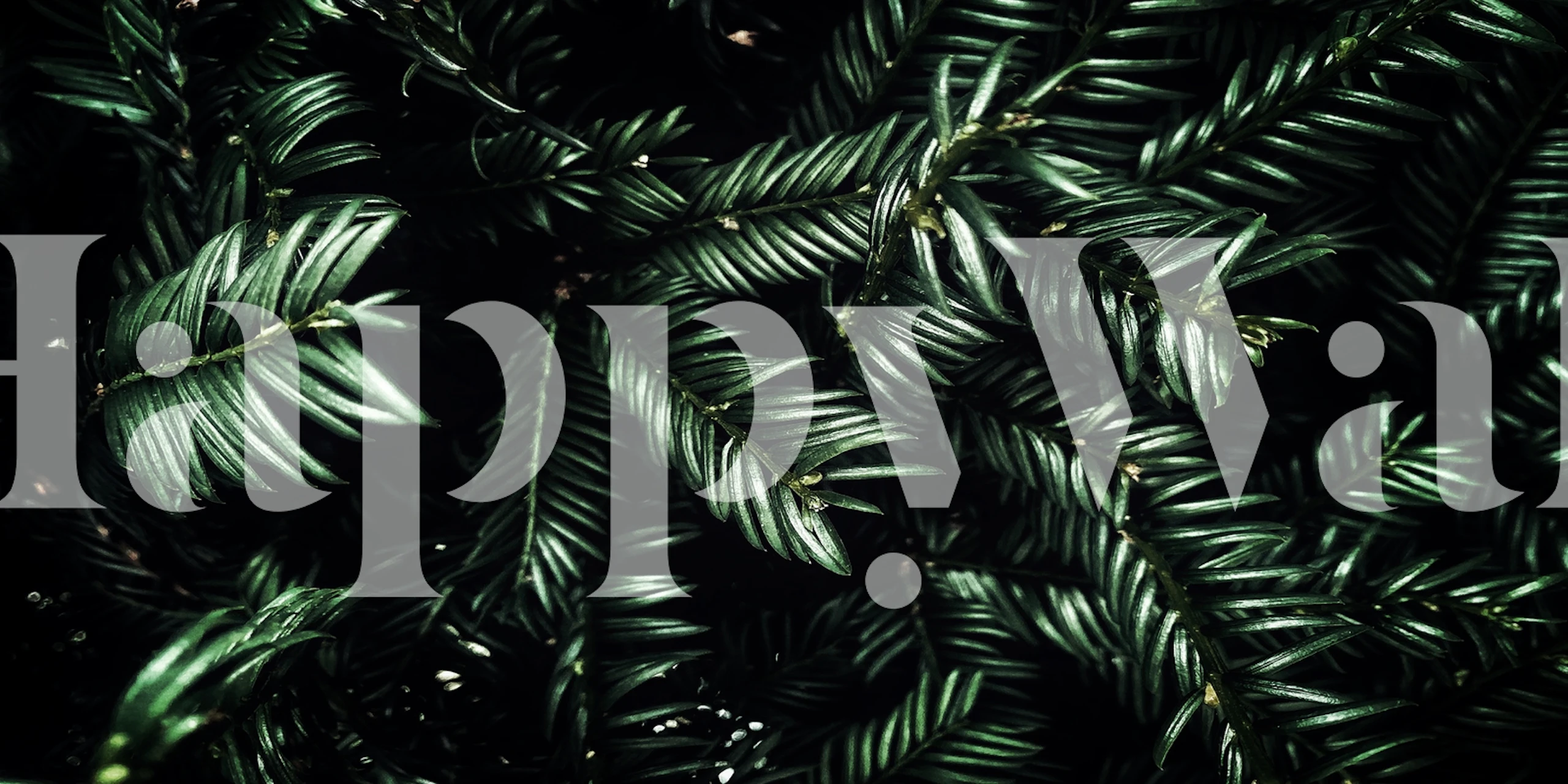 Dense green foliage pattern wallpaper in dark tones, botanical style