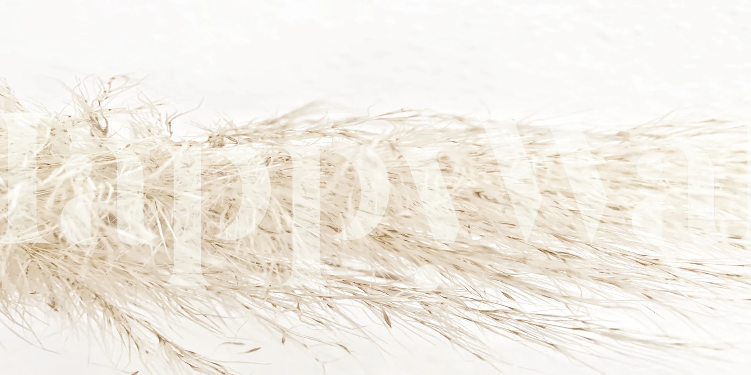 Warm nude-toned bohemian-inspired wall mural with a minimalistic grassy texture