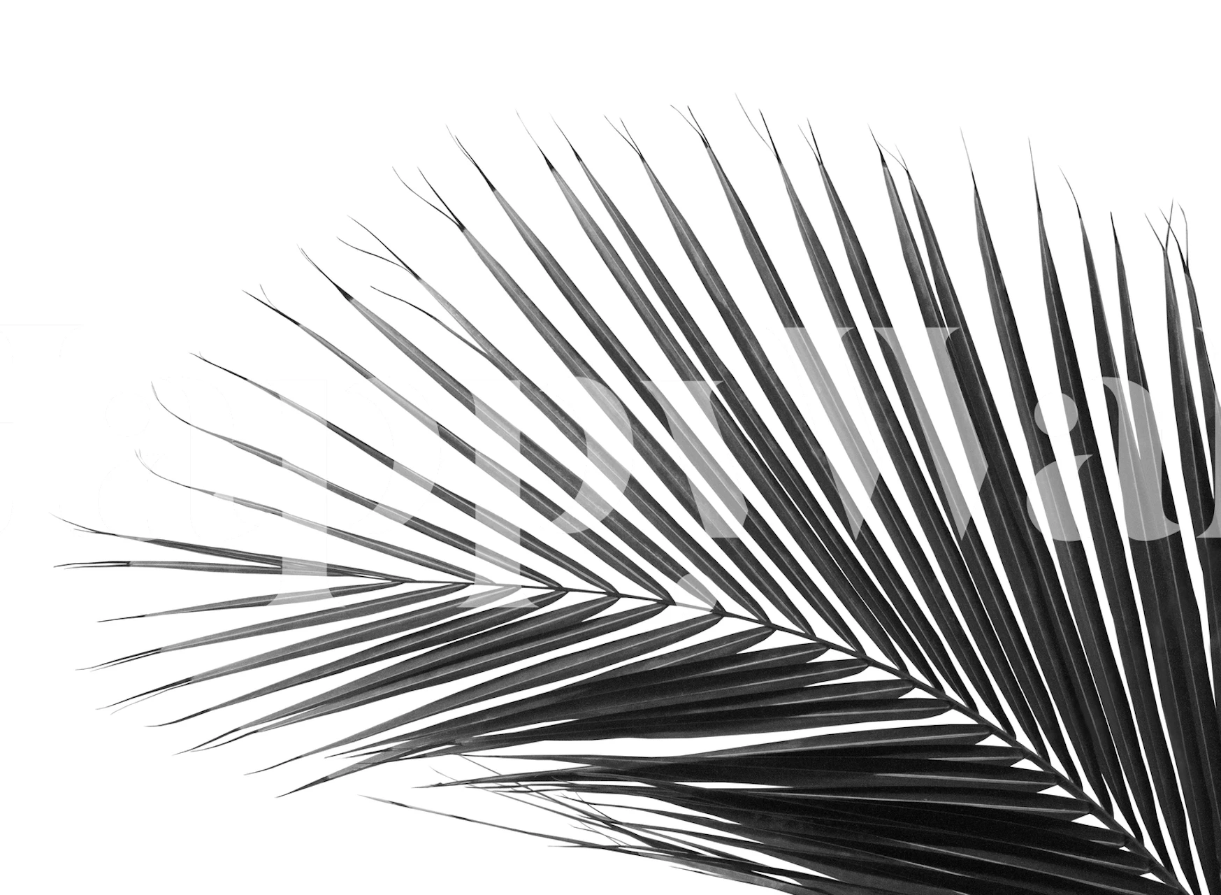 Gestileerde monochrome palmblad muurschildering met ingewikkelde patronen