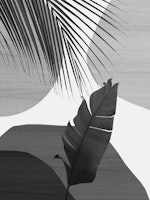 Tropical Banana Leaf 3 wallpaper