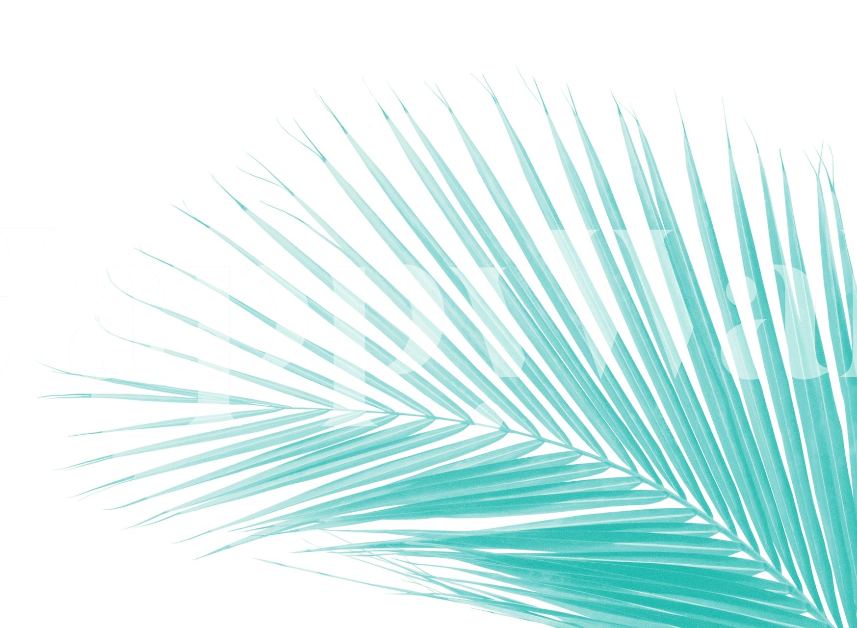 Minimal Palm Leaf Finesse 4 i ett rum