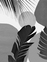 Abstract Banana Palm Leaf 3 wallpaper